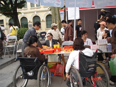 La formation professionnelle et la création d’emplois pour les handicapés   - ảnh 1